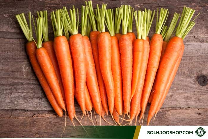 طرز تهیه مربای هویج خانگی بدون شکرک