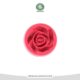 مالد گل رز m512