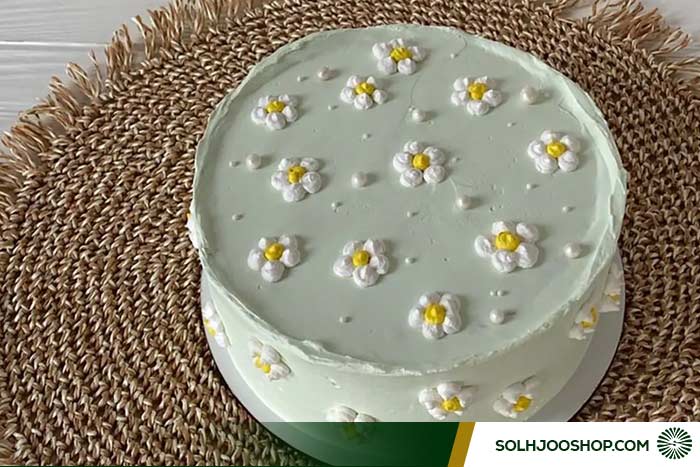 کیک تولد ساده و زیبا 